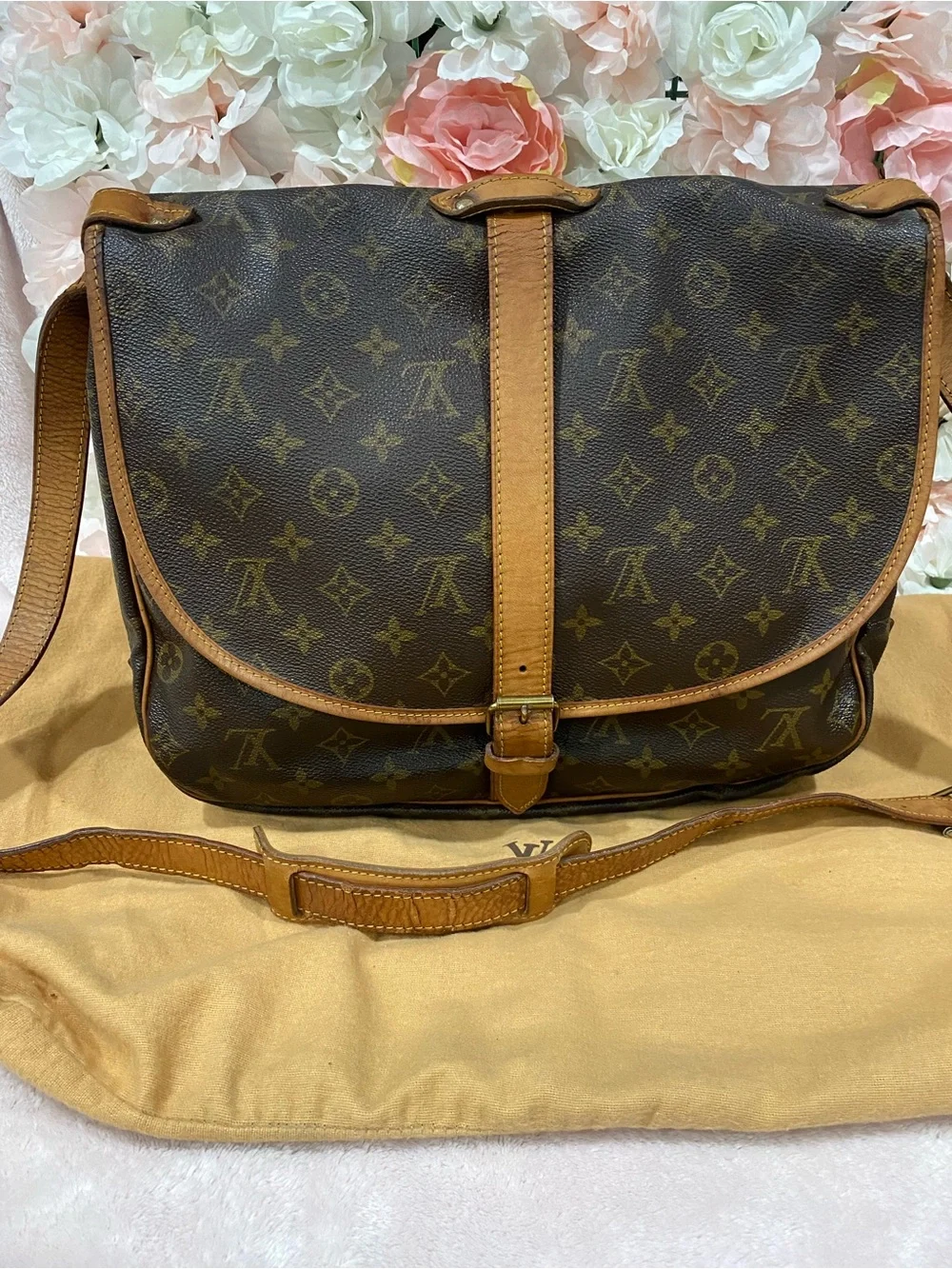Louis Vuitton authentic louis
